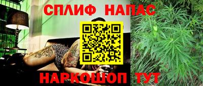 индика Бузулук