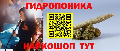 индика Бузулук