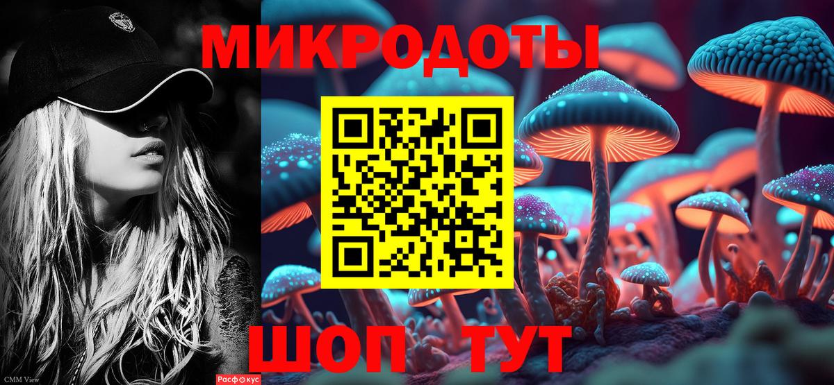 Галлюциногенные грибы прущие грибы Обнинск