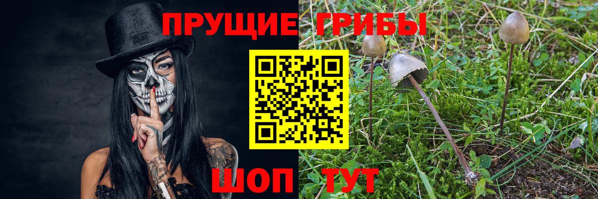 Обнинск  Псилоцибиновые грибы MAGIC MUSHROOMS  Вход с VPN  Галлюциногенные грибы мицелий 